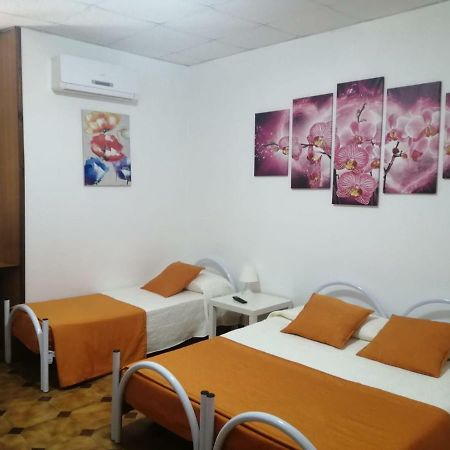 Albergo Ollolai شيفيتافيكْيا المظهر الخارجي الصورة